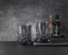 Whisky Tumblers (Smoke) - Set of 2