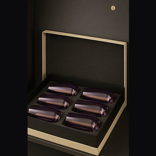 Āvaas | Gift Box - Colourful Long Drink Glass | 460 ml | Crystal | Purple | Set of 6