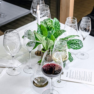 Spiegelau | ARABESQUE Burgundy Glass | Clear | Set of 2