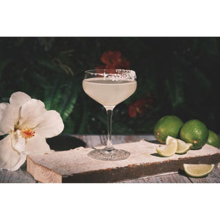 Spiegelau | Perfect Serve - Coupette Glasses | 235 ml | Crystal | Clear | Set of 4