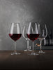 Burgundy Glasses - Set of 6