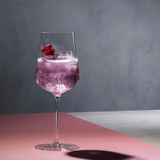 Spiegelau | DEFINITION Universal Glass | Clear | Set of 2