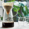 V60 Hot & Iced Coffee Maker - 700 ml