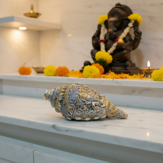 Decorative shell on a marble surface with a blurred background
