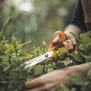 Fiskars Universal Cutting Scissors