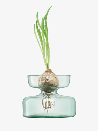 LSA International | Canopy Vase/Bulb Planter Recycled | H10cm