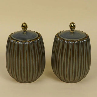 Masala jar tray combo

