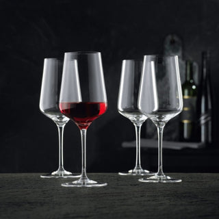 Nachtmann Vinova Red Wine Glass