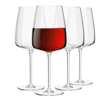 Red wine glassware collection