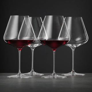 SPIEGELAU Burgundy glass