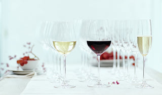 “Spiegelau Burgundy red wine glasses”