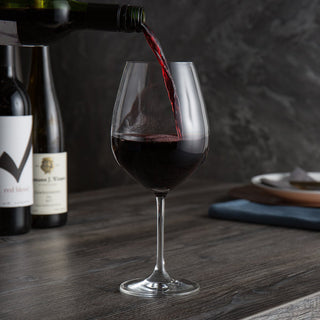 “Spiegelau crystal Burgundy wine glasses”