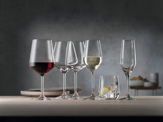 Spiegelau wine tasting glasses
