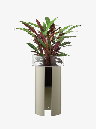 LSA International | Terrazza Planter H60cm Ø34cm | Clear/Concrete Grey | 1 Pc