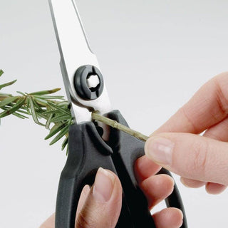 OXO | Good Grips | Kitchen & Herb Scissors | Stainless Steel | Black | 1 pc