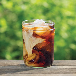 Toddy | Cold Brew System | Glass | 1.1 L | BPA-Free Plastic
