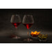 Pinot Noir Glasses - Set of 2