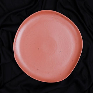 Fujitake | Flate Plate | 21 cm | Red Clay Dotts | Set of 12