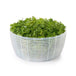 Salad & Herb Spinner - Small