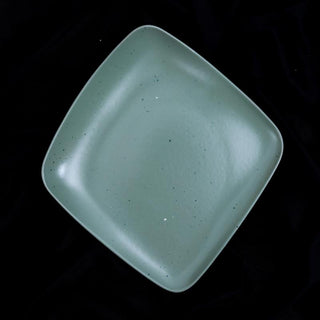 Fujitake | Vital Square Plate | 20 cm | Mist Green Dotts | Set of 12