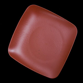 Fujitake | Vital Square Plate | 20 cm | Red Clay Dotts | Set of 12