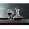 Decanter & Red Wine Glasses