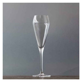 Spiegelau | Willsberger Anniversary - Champagne Flutes | 240 ml | Crystal | Clear | Set of 2